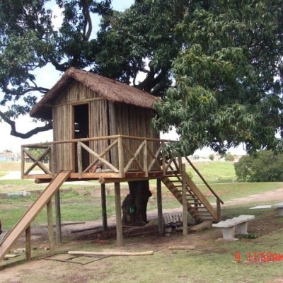 Casinha de Tarzan