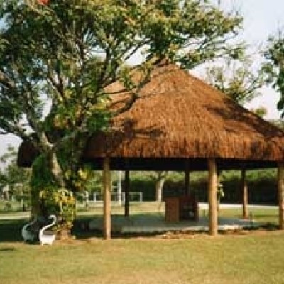 Pilar Externo