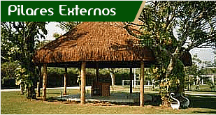 Pilares Externos