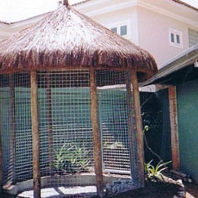 Pilar Externo